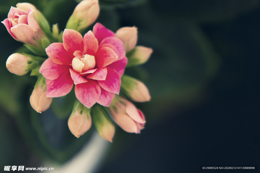 花