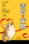 宠物 冠状肺炎流感病毒海报