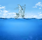 蝴蝶与水