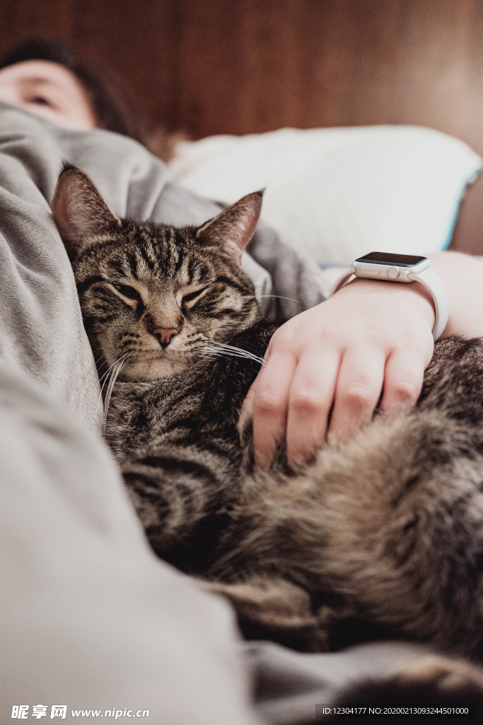 猫