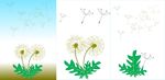 蒲公英 叶子 飞舞的蒲公英