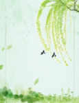柳枝 小燕子