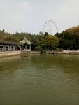 蠡园