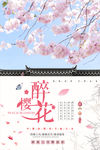 樱花节