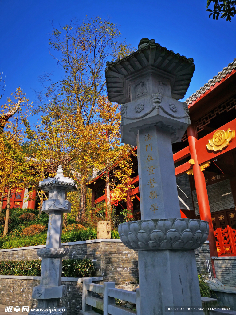 寺庙银杏
