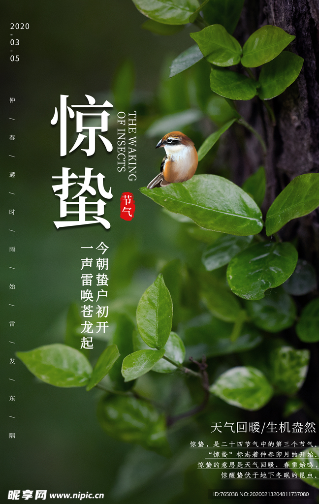 惊蛰