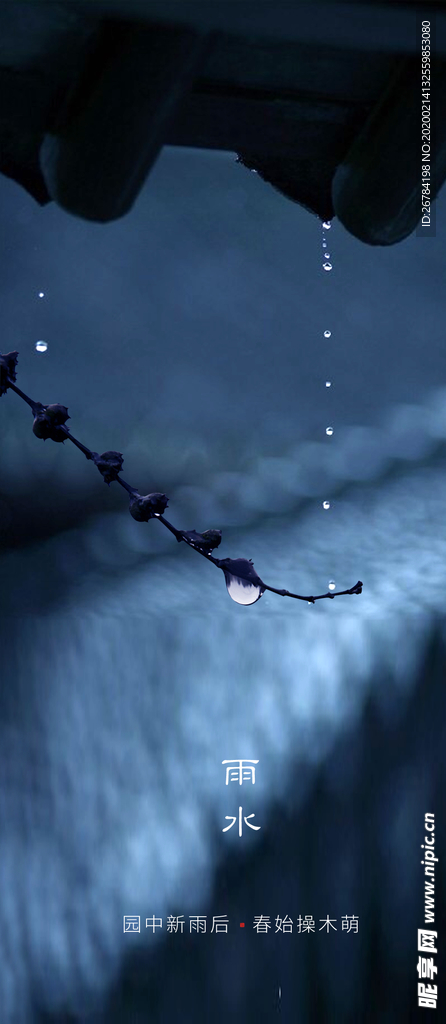 雨水 雨水海报 雨水节气