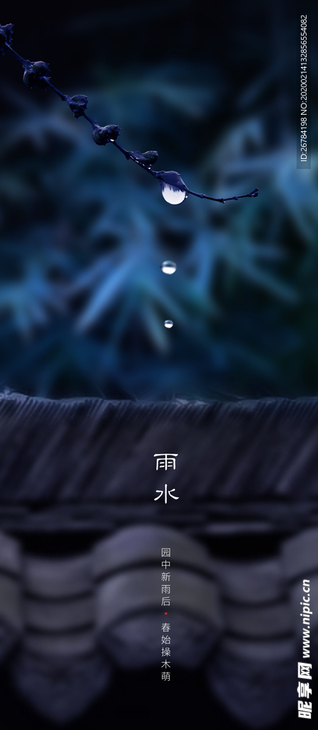 雨水 雨水海报 雨水节气