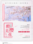 樱花海报