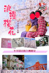 樱花海报