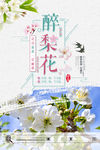 樱花海报