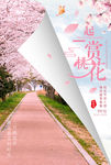 樱花节