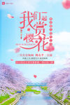 樱花节