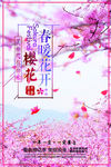 樱花节