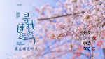 樱花节