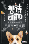善待动物冠状流感病毒海报