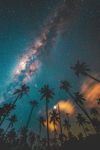 热带夏夜背景