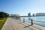青岛黄岛海滨风光