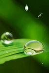 雨水