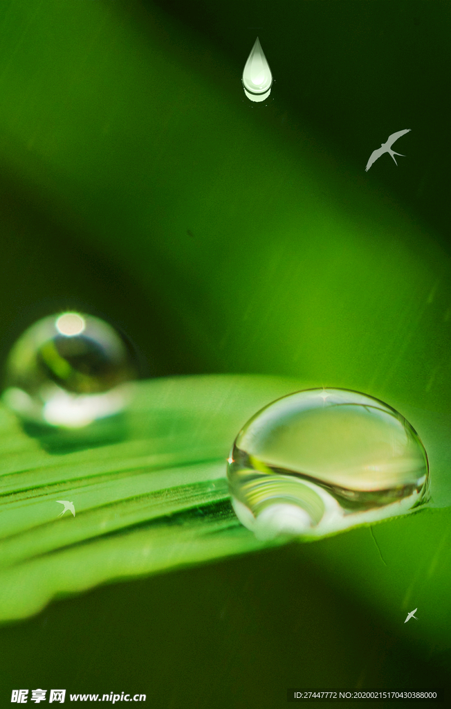 雨水