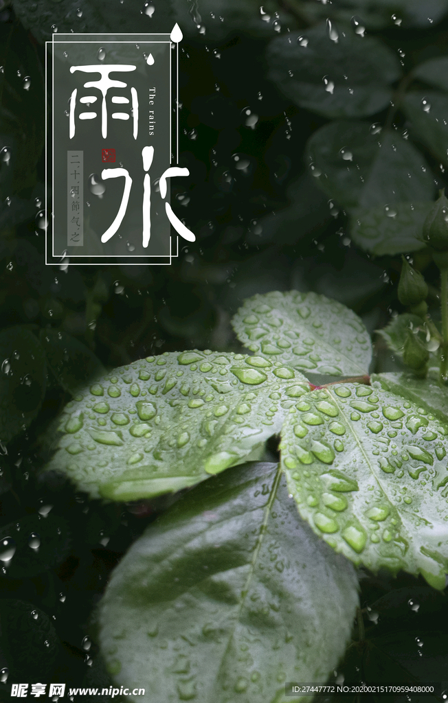 雨水
