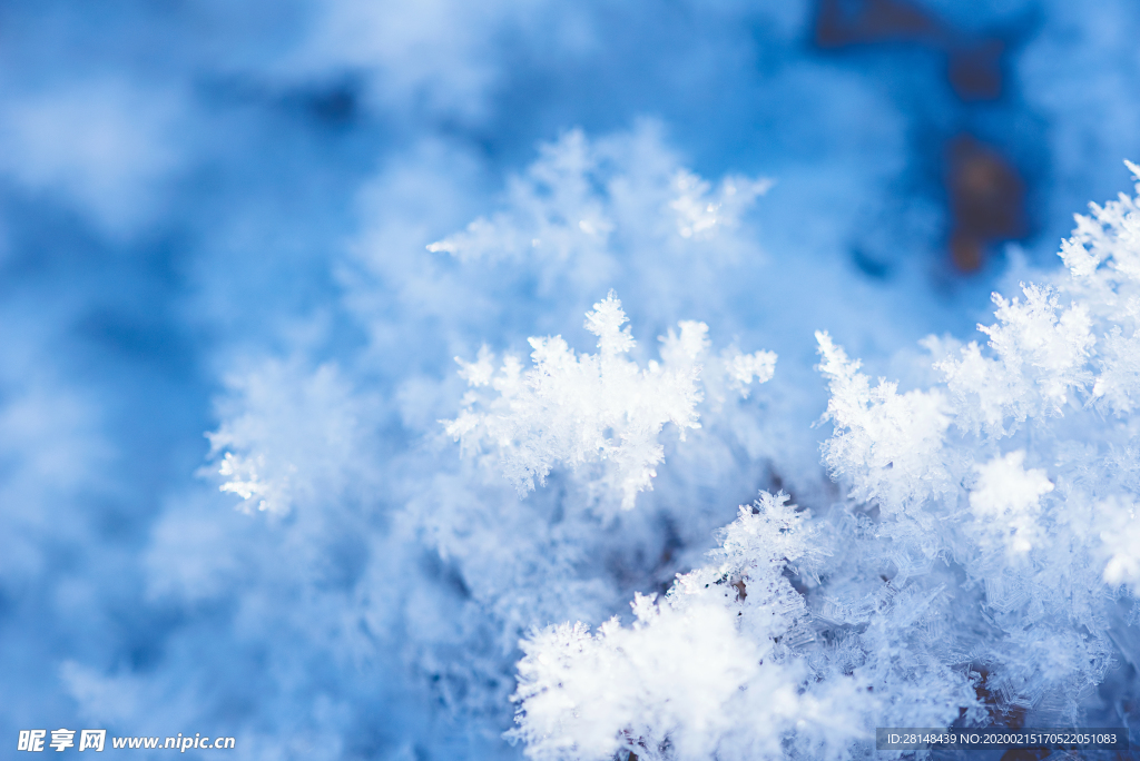 雪