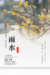 雨水