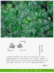 雨水