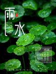 雨水