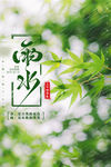 雨水