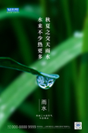 雨水