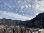 农村雪景