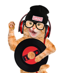 波斯猫