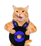 波斯猫