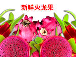 火龙果