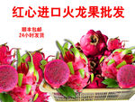 火龙果