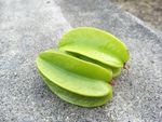 杨桃