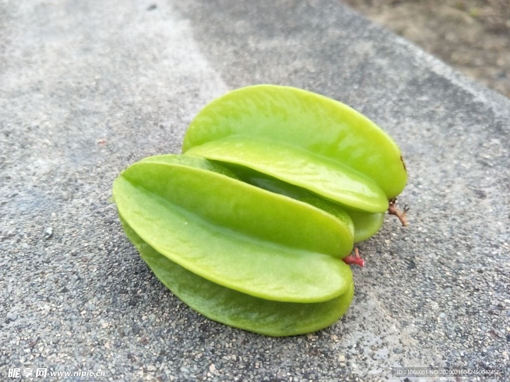 杨桃