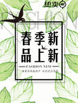 春天