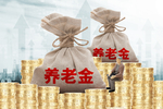 养老金素材