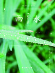 雨水海报