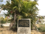 乡村改造石碑