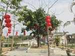 节日氛围