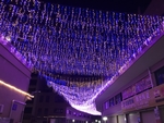 夜间装饰