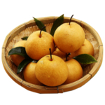 梨