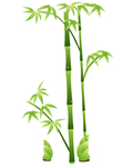 竹子
