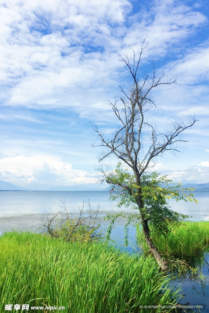 天空 大理 洱海