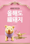 金猪财富