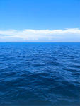 海洋