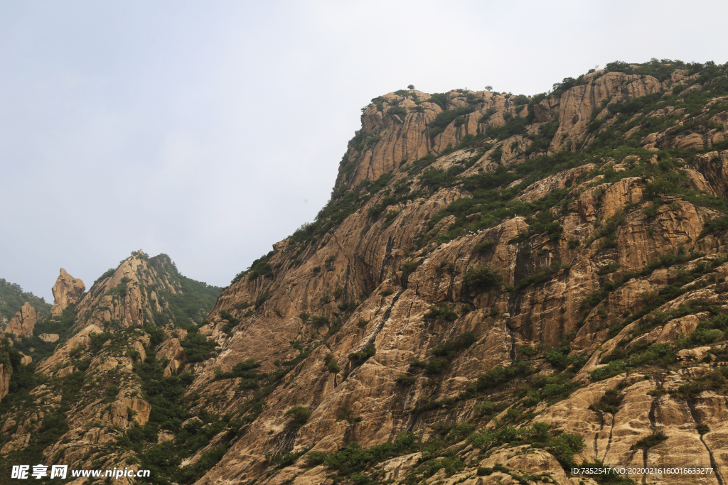 山